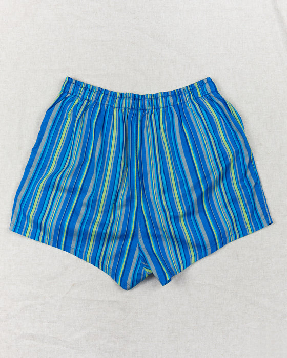 Blue Stripes Swimming Shorts (L)